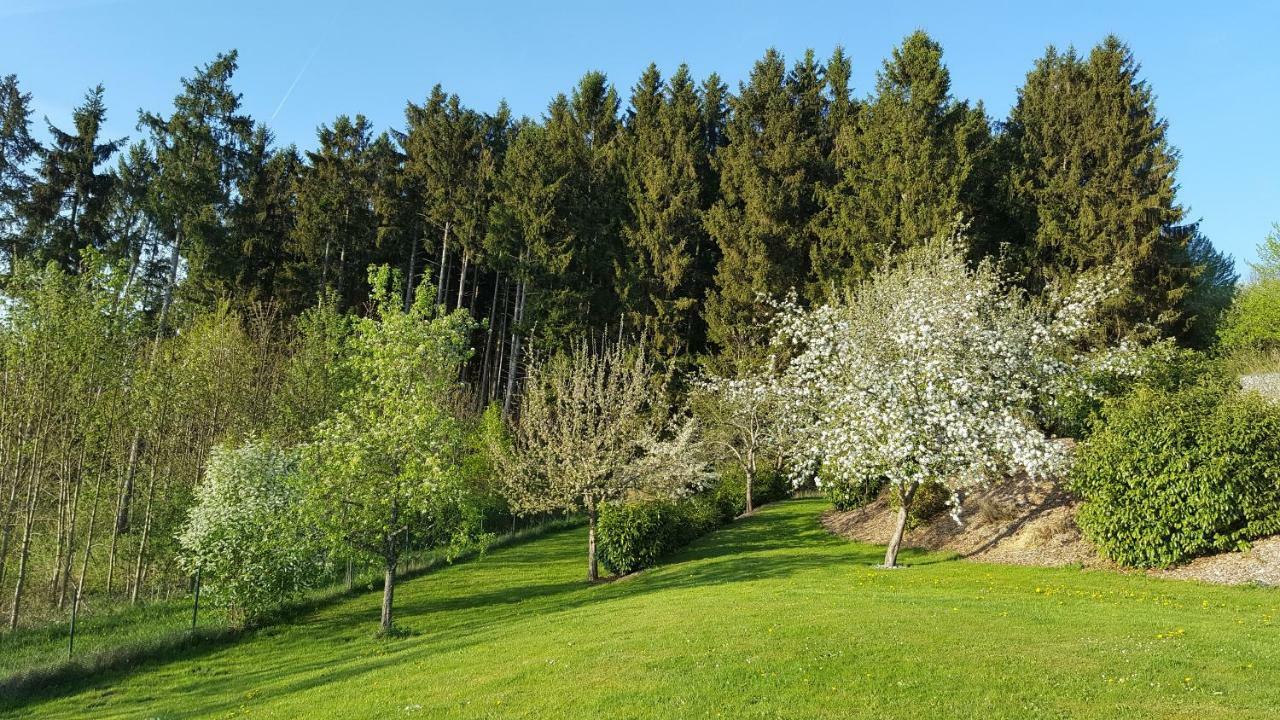 Ferienwohnung Am Waldrand Herdwangen-Schönach Dış mekan fotoğraf