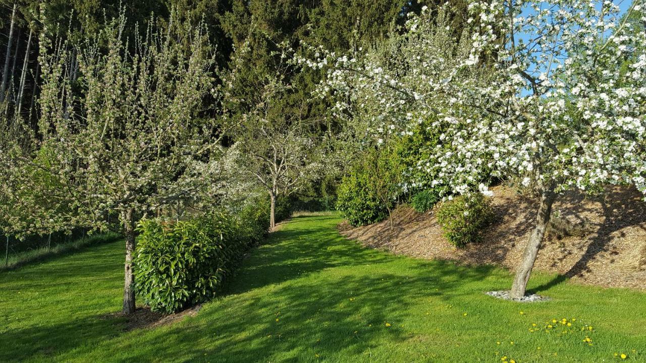 Ferienwohnung Am Waldrand Herdwangen-Schönach Dış mekan fotoğraf