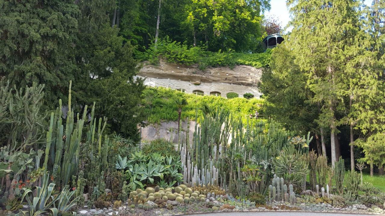 Ferienwohnung Am Waldrand Herdwangen-Schönach Dış mekan fotoğraf